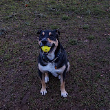 _DSC0012.NEF _DSC0012.NEF