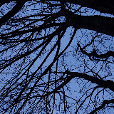 _DSC0031.NEF _DSC0031.NEF