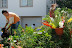 Imagem 025.jpg