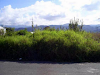 Lote En Los Cerillos De Cartago