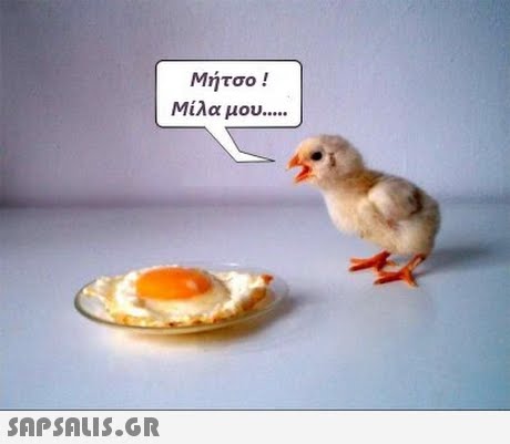 Μήτσο ! Μίλα μου 