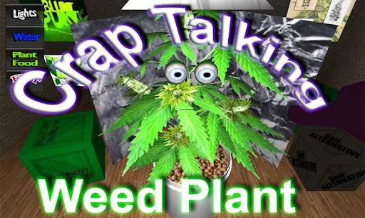 Grow Your Talking Weed Plant
