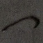 Earthworm