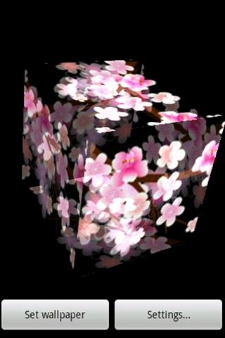三維可愛的櫻花