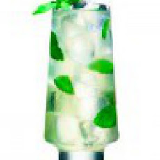 Absolut Boston Mojito