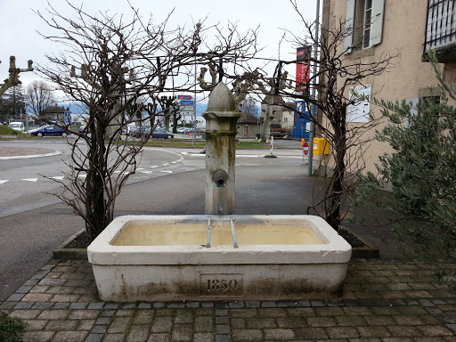 Fontaine Des Tilleuls