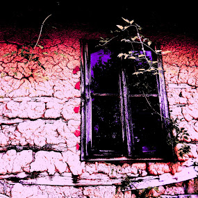 MRUCKLYN MRIDGE 1 by Vesna S. Disić - Buildings & Architecture Other Exteriors ( srbija, flloral, detail, willage, europe, vintage, colors, art, wooden window, traditional, house, architecture, high key, history, wooden, window, style, serbia, artistic, inspirational )