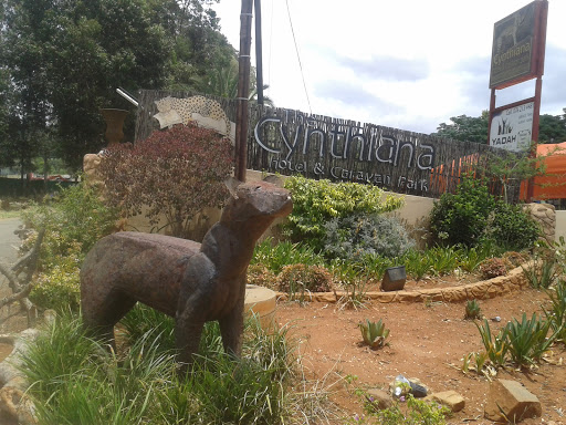 Hyena Statue