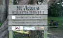 Mt Victoria Town Belt