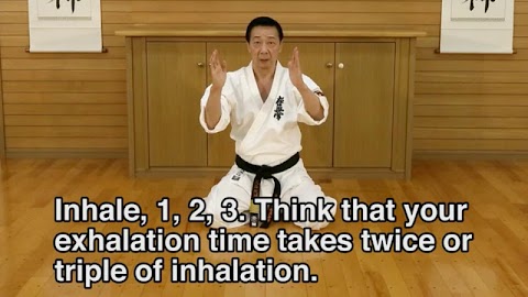 Lifelong Kyokushin Karate 07のおすすめ画像2