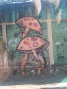 Grafite Cogumelos Da Ituverava