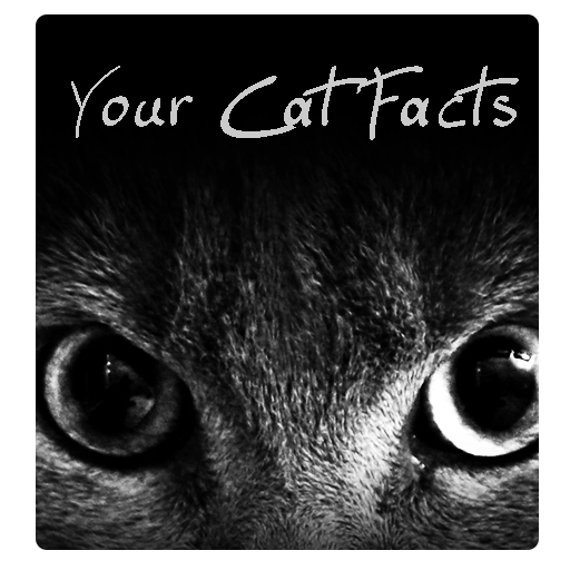 Your Cat Facts LOGO-APP點子