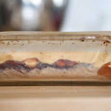 Gjetost semifreddo bars