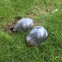 Easter painted turtle