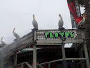 Floyd's Pelicans