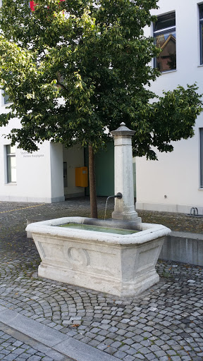 Zofingen Stadthaus-Brunnen