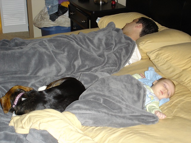 [DSC01295[5].jpg]