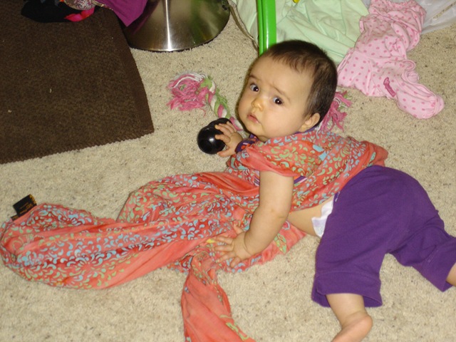 [DSC01646[2].jpg]