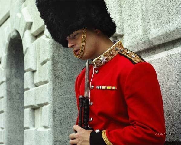 [snoozing-guard[4].jpg]