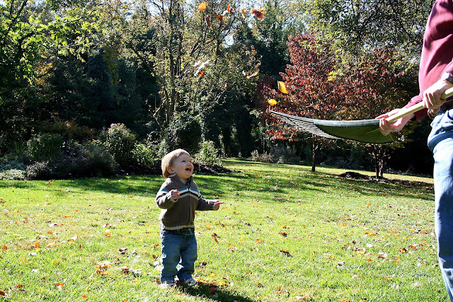 anticipation before the leaves fall