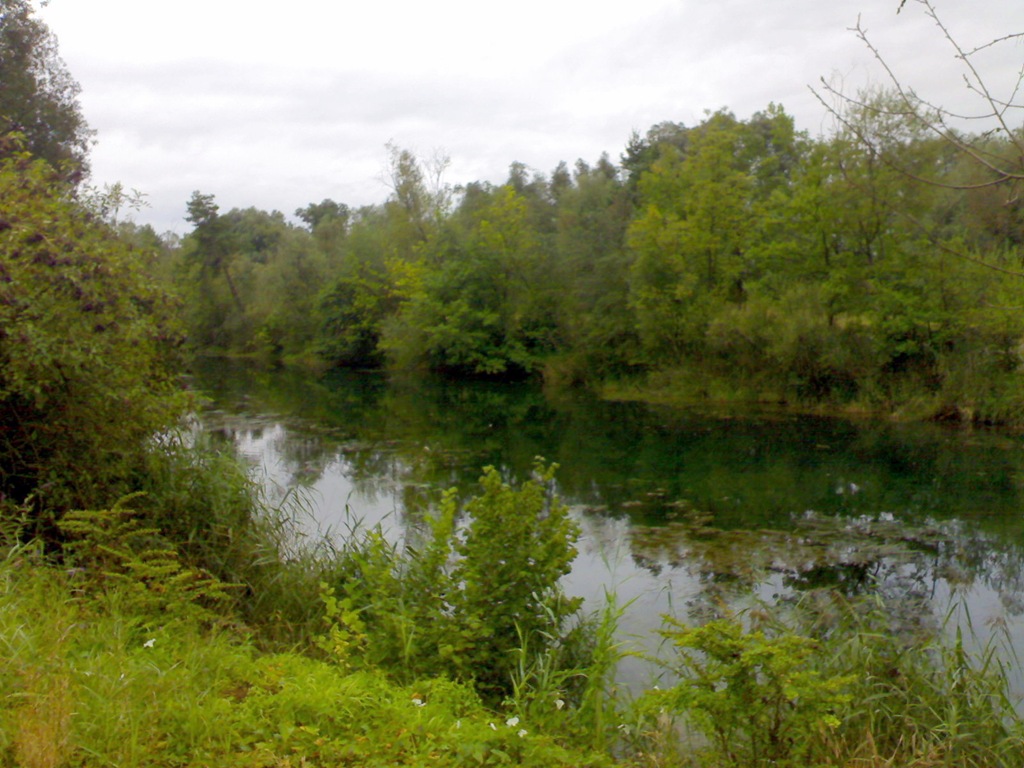 [07092008433[8].jpg]