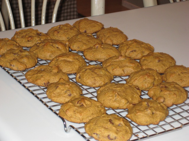 [pumpcccookies[3].jpg]