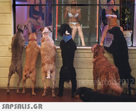 picture&photo 2012