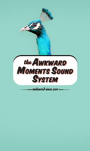 Awkward Moments Sound System