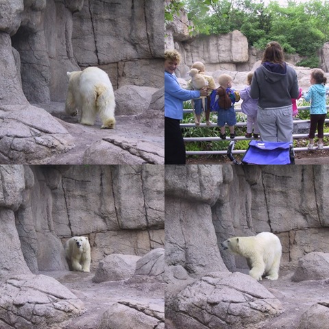 [collage1[3].jpg]