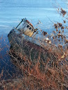 Derelict Boat