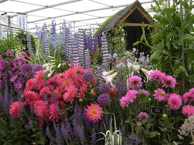 Flowers at Hampton Court