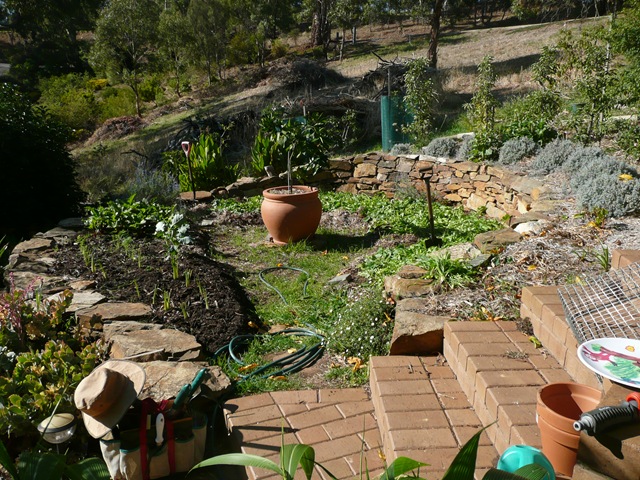 [P1020435[2].jpg]