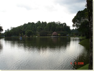 Pic 042