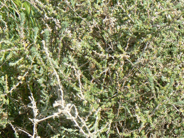 [P1090433[8].jpg]