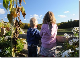 farm_view