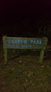 Cooper Park Coral Steps