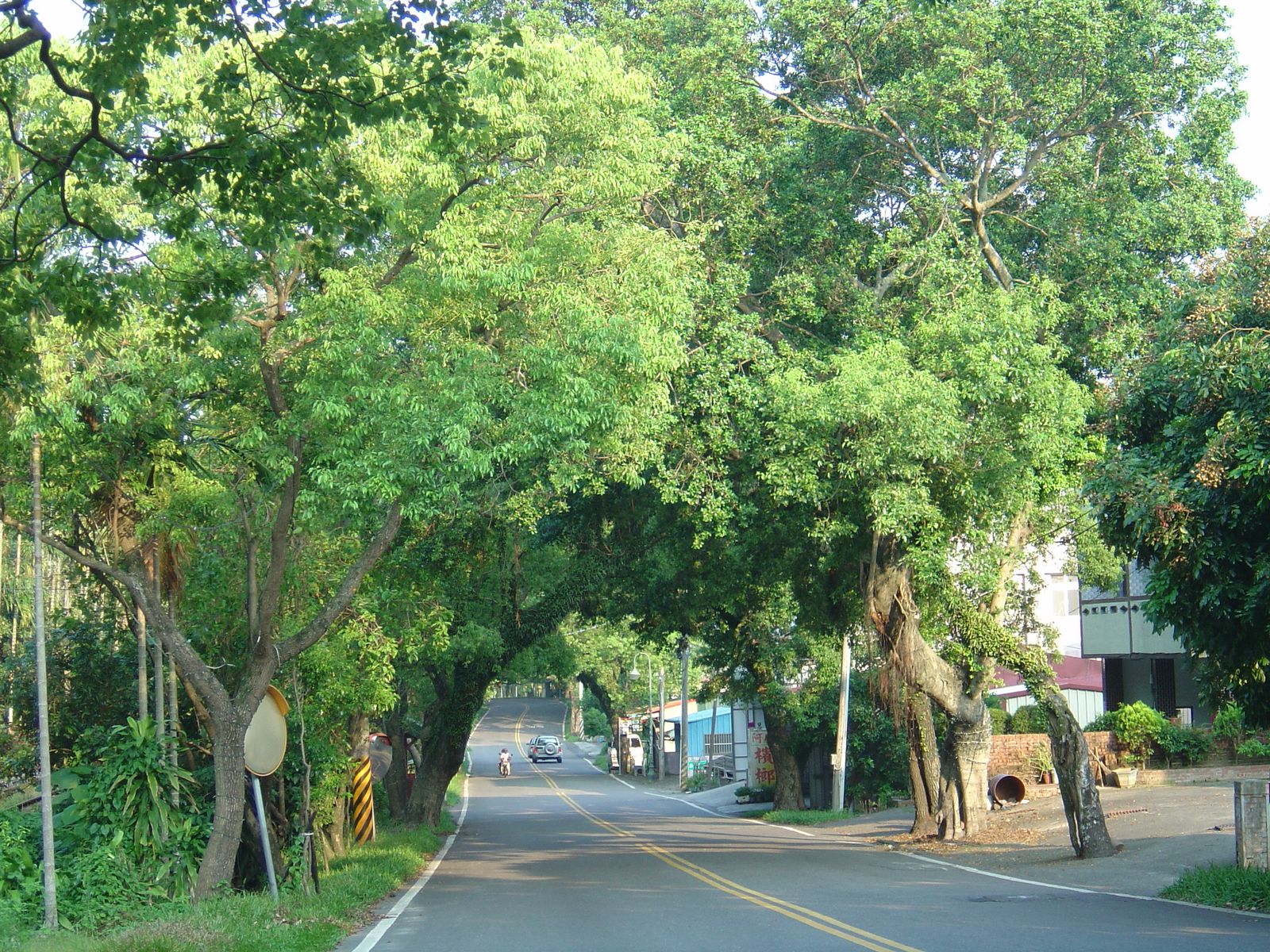 [DSC07526.jpg]