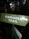 Marigold Trail Plaque 