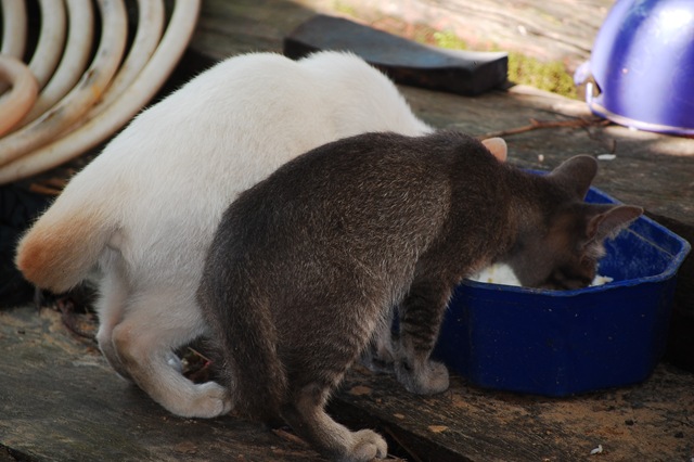 [DSC_6833_02532.jpg]