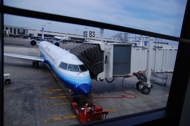 [DSC_8770_2095[3].jpg]