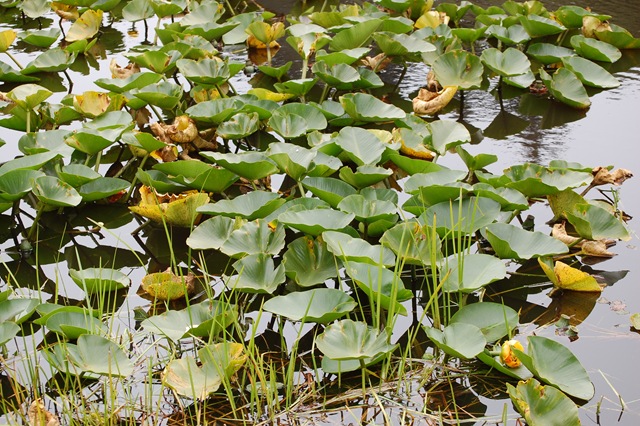 [August 2007 315[2].jpg]