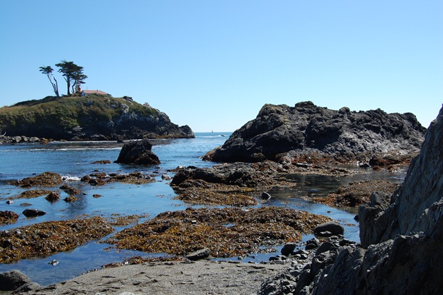 [August 2007 519[2].jpg]