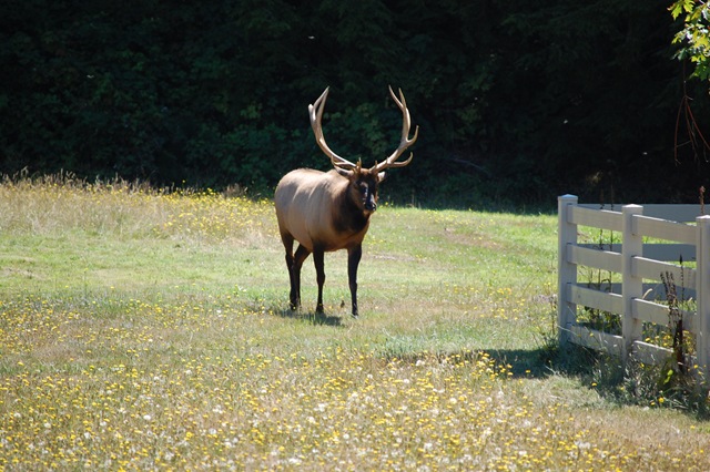 [August 2007 588[2].jpg]