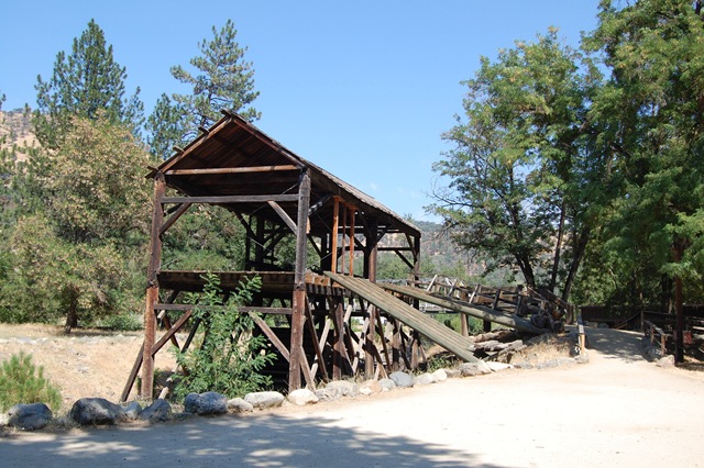 [July20084803.jpg]