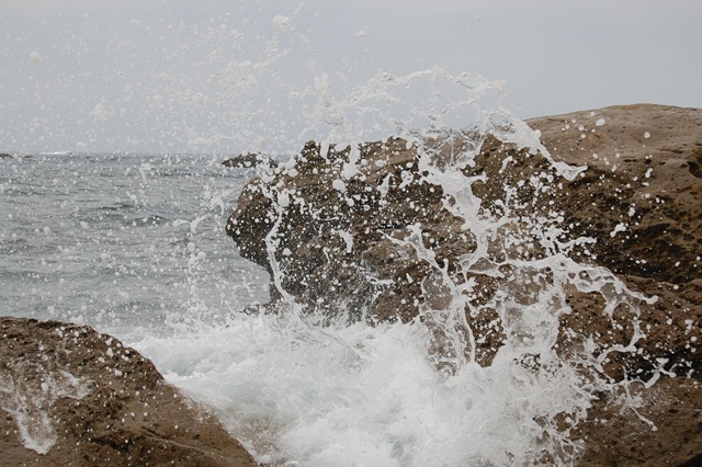 [July 2008 304[3].jpg]
