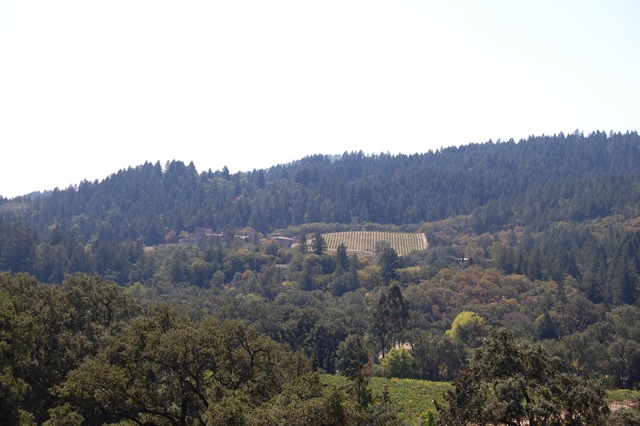 [September20080323.jpg]