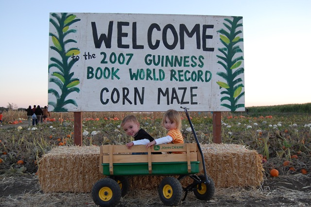 [October 2008 513[3].jpg]