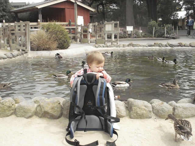 [DSC050167.jpg]