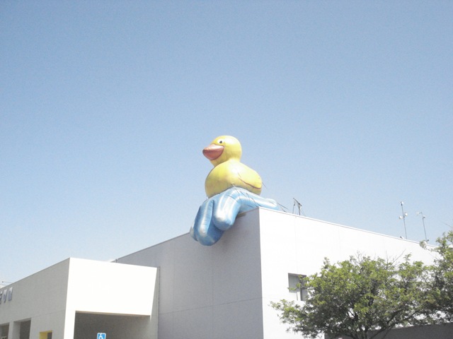 [DSC050292.jpg]