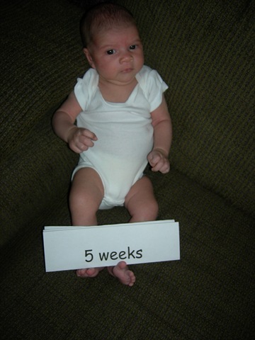 [6 Wks 008[3].jpg]